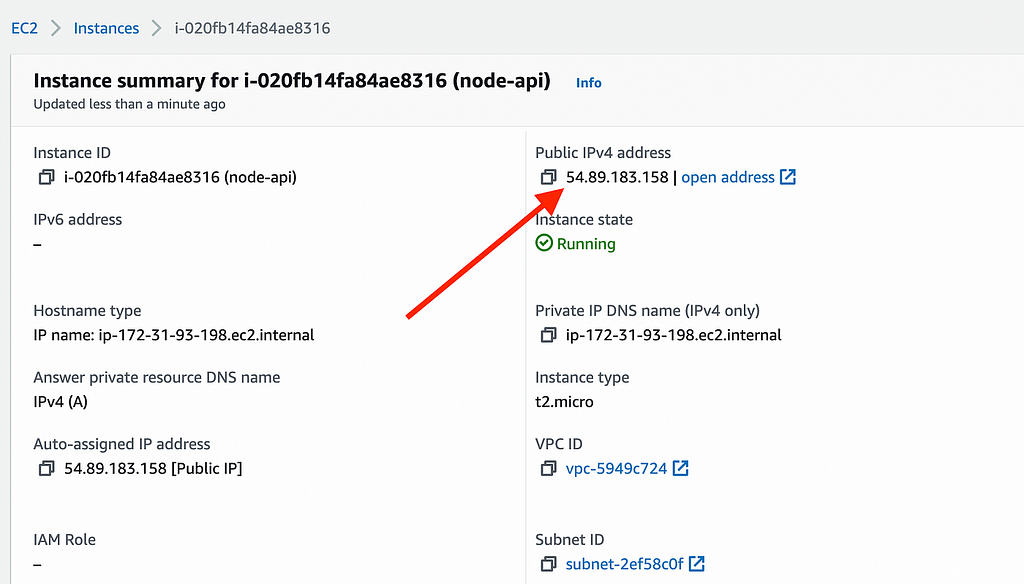 Instance details with public IP